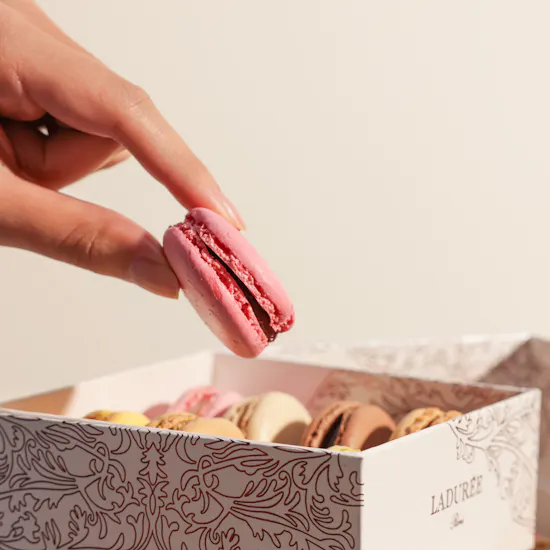 Ladurée Macarons Box | 16 Pieces