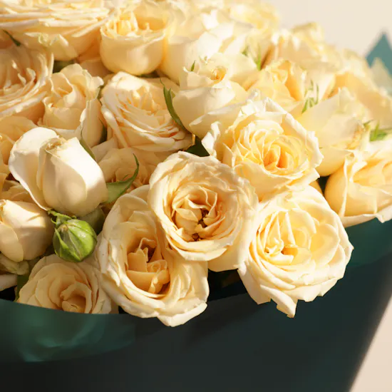 Peach Baby Rose Bouquet | 25 Flowers