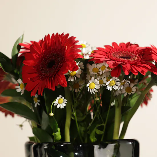 Crimson Radiance Flowers Vase