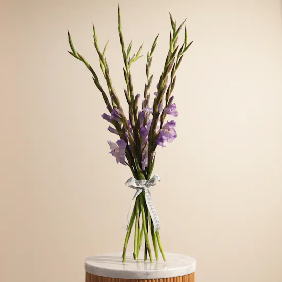 Purple Gladiolus | Flowers Bouquet