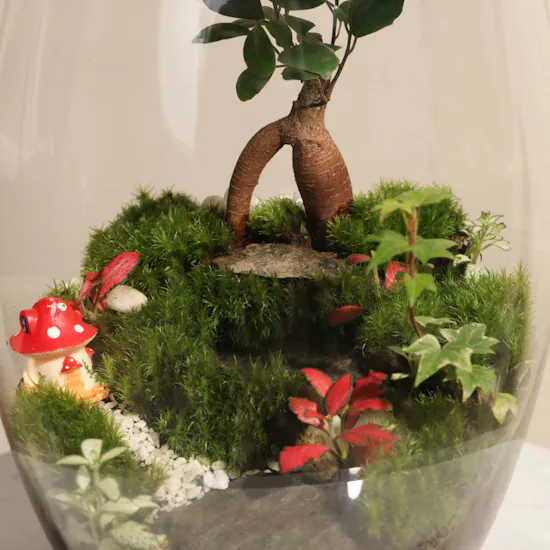 Nano Garden Closed Lamp Terrarium