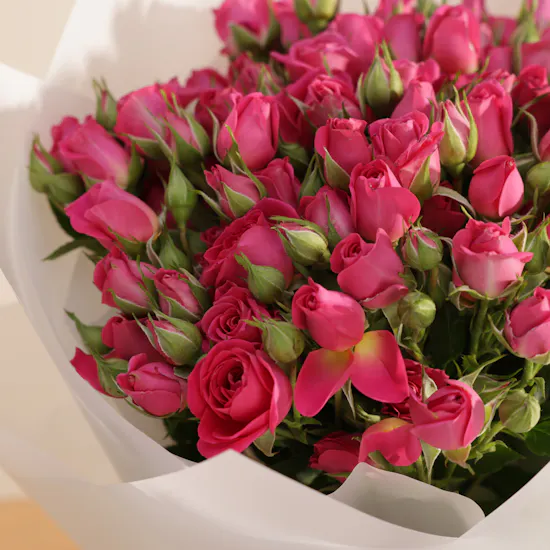 Smeg 50's Style Drip Filter Cream Coffee Machine | Warm Flowers Bouquet