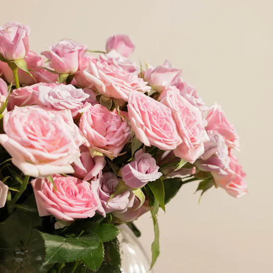 Forever Pink | Glass Vase