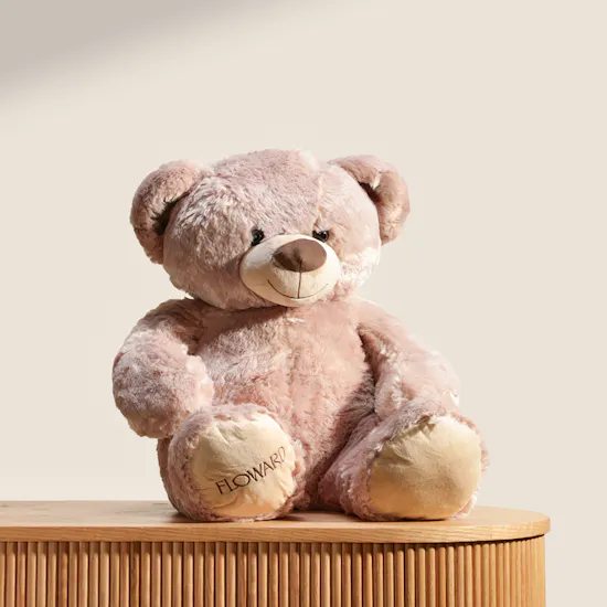 Floward Cute Brown Bear Plush Toy