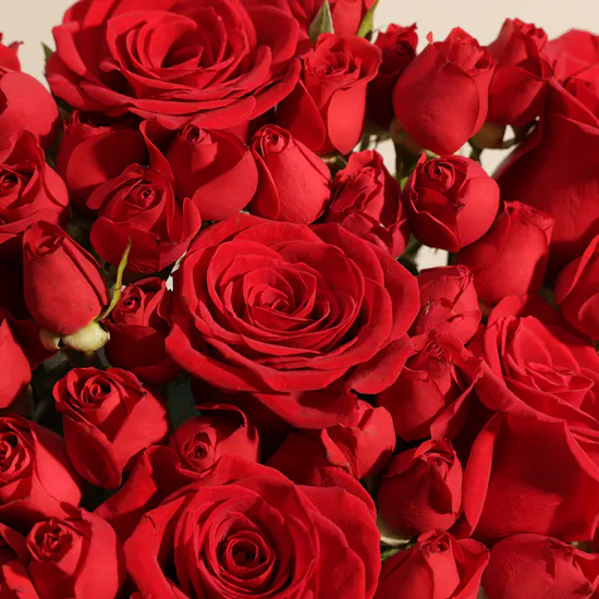 صندوق شوكولاتة القلب من جوديفا | زهور التناغم الناعم