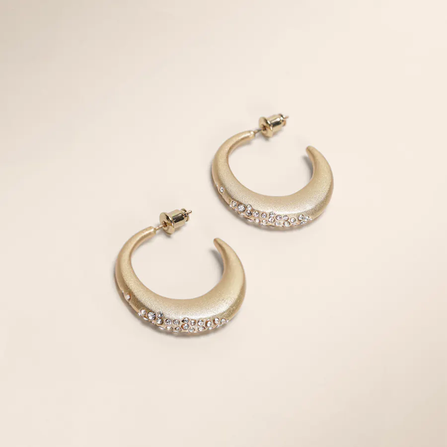 Lynyer Aurora Dust Gold-Plated Earrings  1