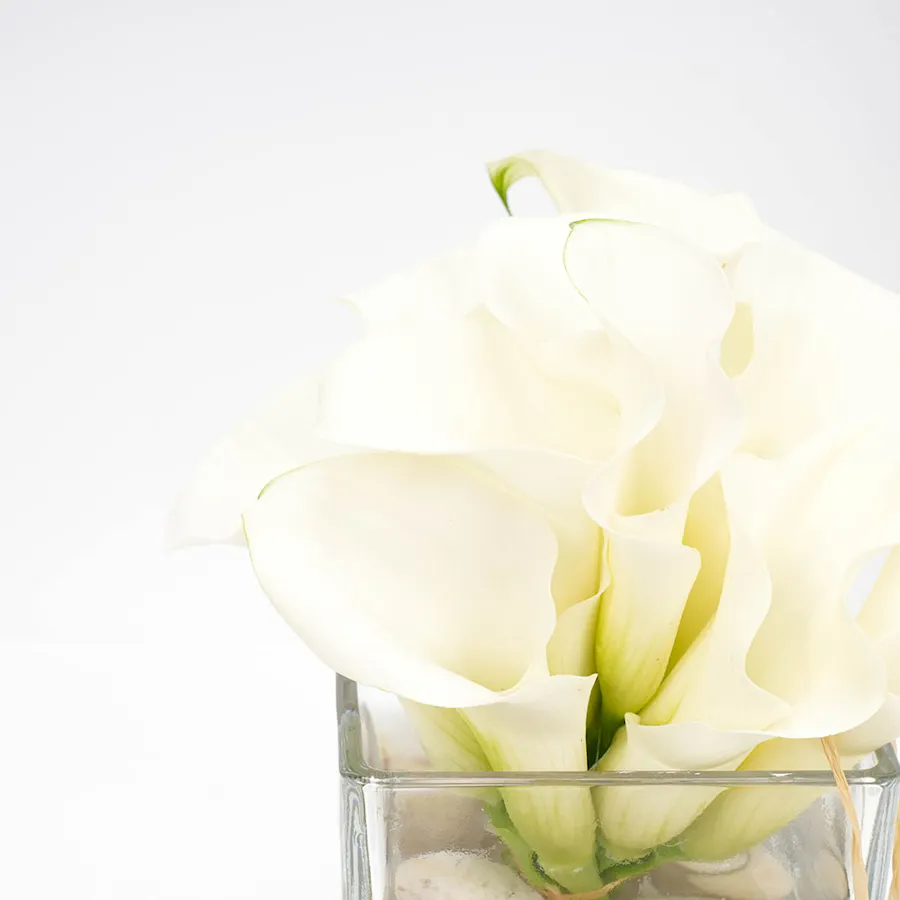 The Purity Vase 4