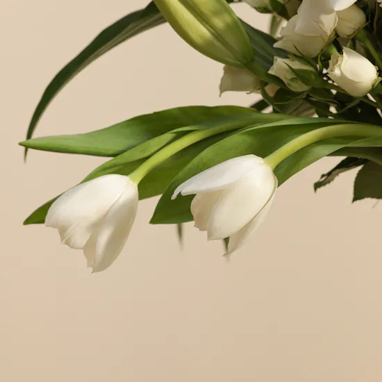 Auto Art Car Economic Protection Package Gift Voucher | Blushing Flowers Vase