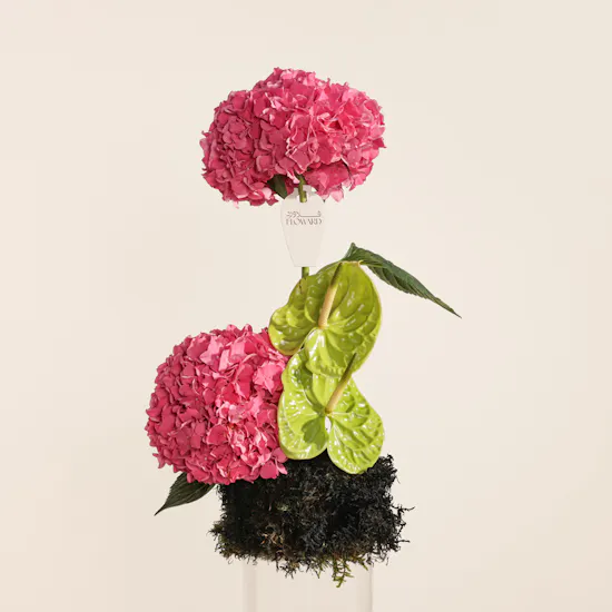 Elegant Hydrangea Vase