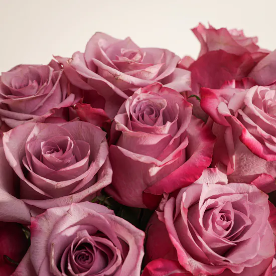 The Roses Impression Vase