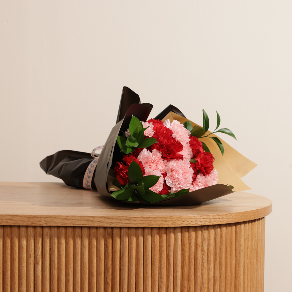 باقة الكارنيشن الجميلة