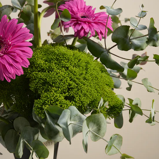 Gerbera Delight Flower Vase