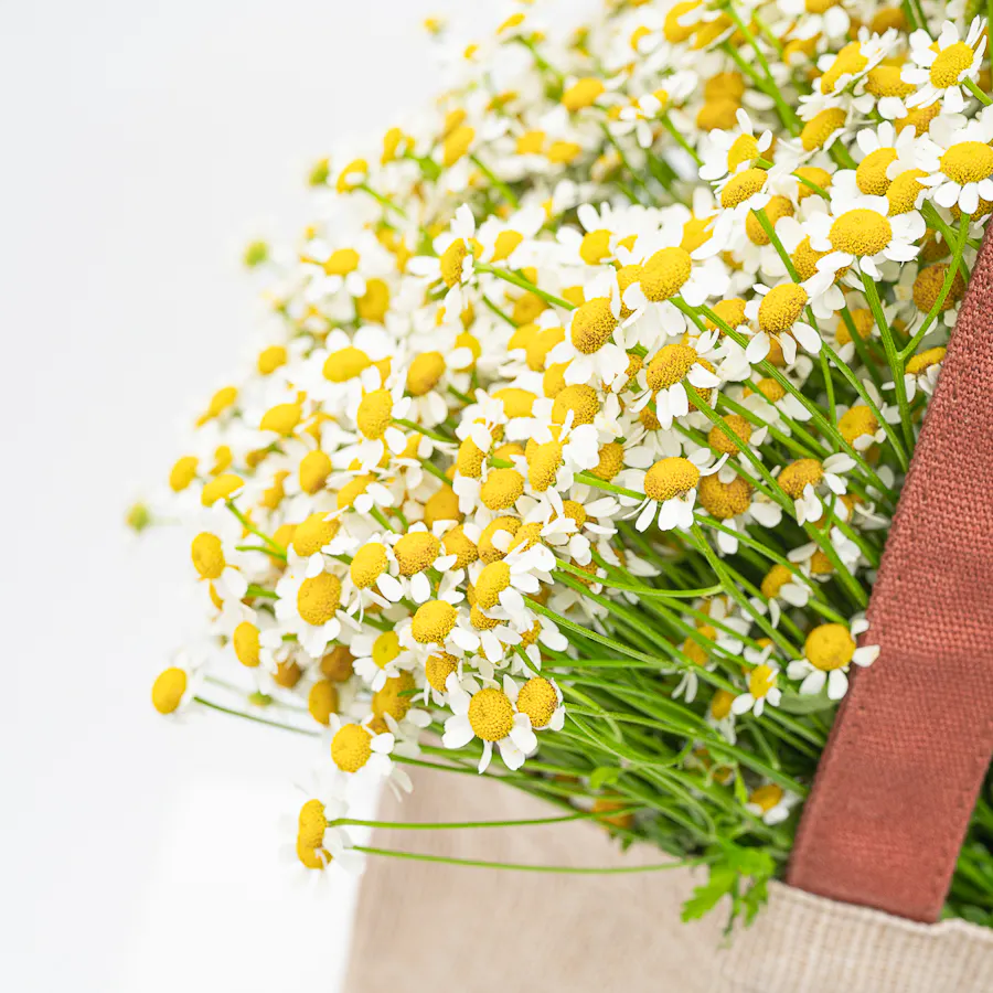 Klar Nail Spa Gift Voucher | Soft Flowers  5