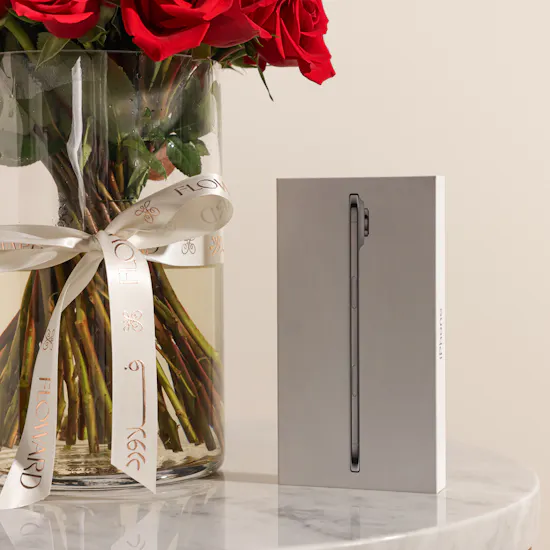 آيفون اير باللون الأبيض السحابي 256 جيجا بايت من أبل | مزهرية رونق الفخامة الحمراء