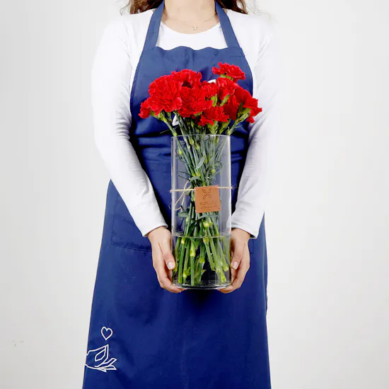 25 Red Carnations | Vase