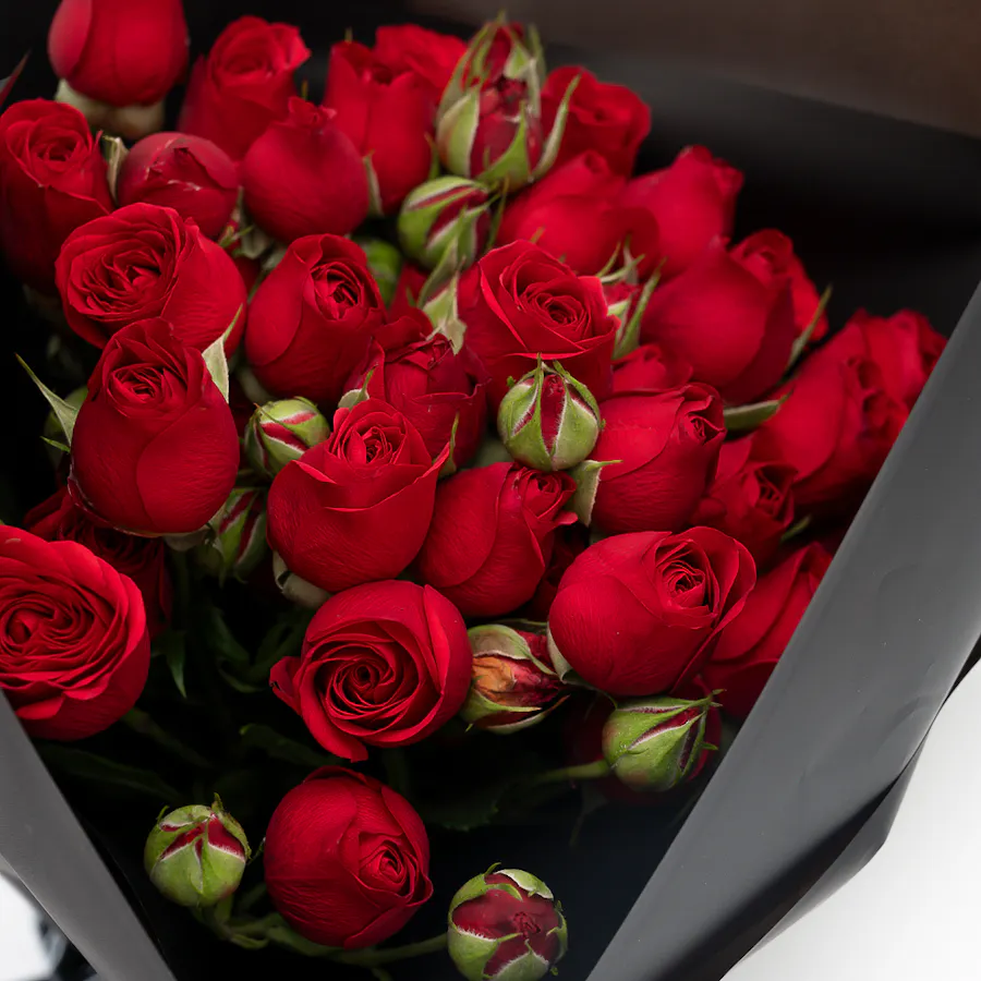 10 Red Baby Roses | Black Wrap | Bouquet 3
