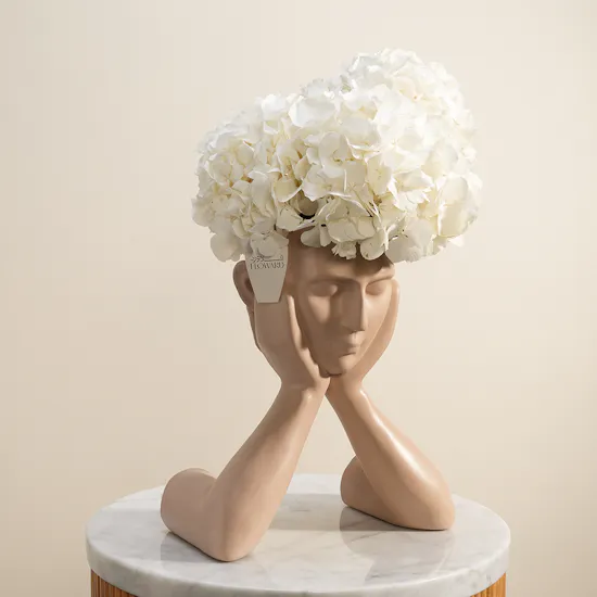 Delicate Beauty White Hydrangea Vase