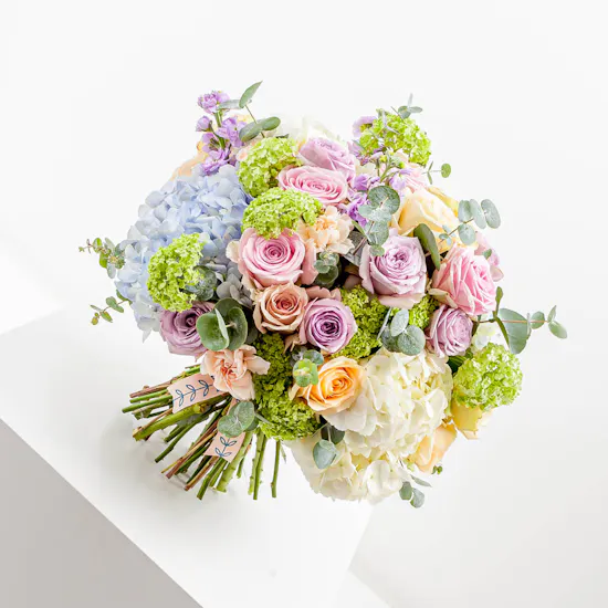 Pastel Charm