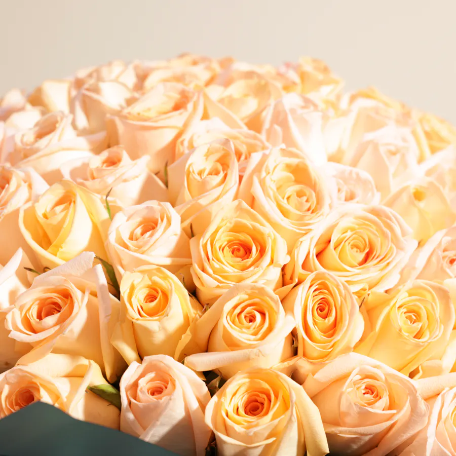 Enchanting Peach | 100 Rose Bouquet 4
