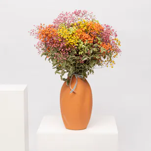 Radiant Colors | Ceramic Vase Radiant Colors | Ceramic Vase