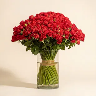 100 Red Baby Roses Vase