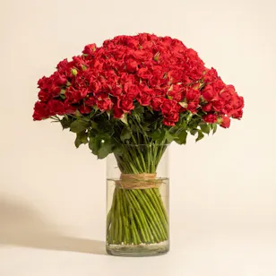 100 Red Baby Roses Vase 100 Red Baby Roses Vase