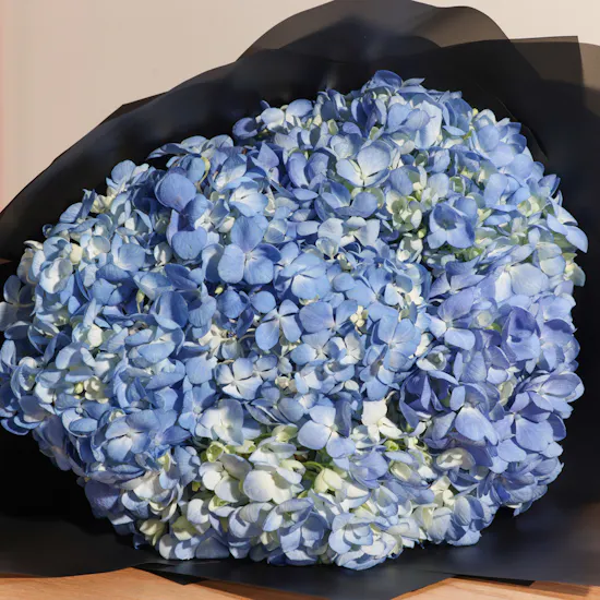 Stunning Blue Hydrangea Bouquet
