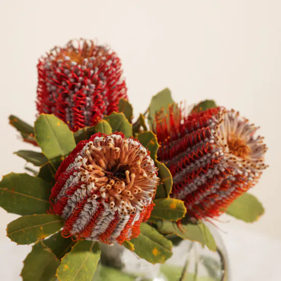 Elegnat Flowers Vase