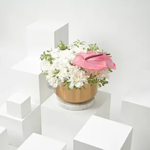 Carnation & Anthurium | Gold Vase