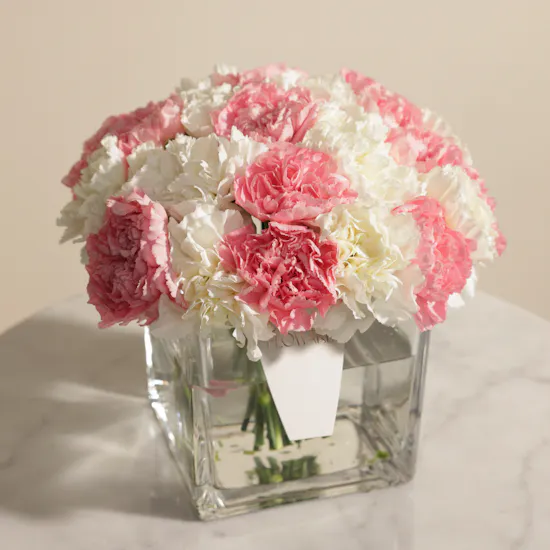 Celestial Carnation Flowers Vase