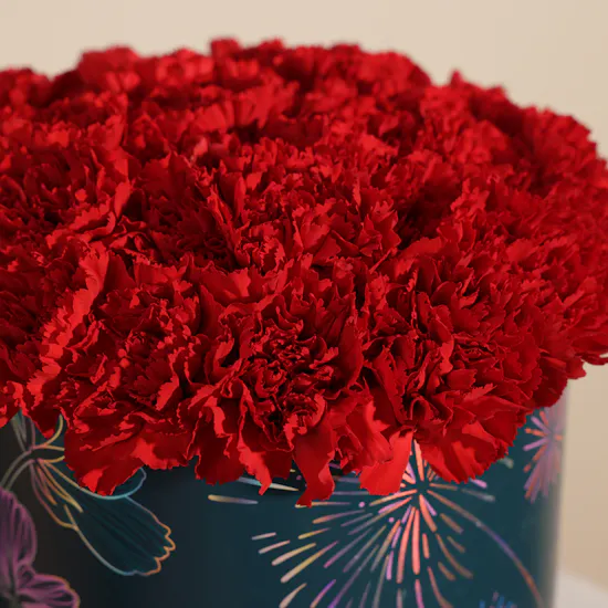 Romantic Red Carnation Box | 35 Flowers