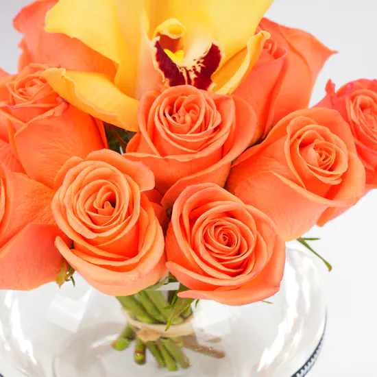 Bright Spring | Birthday Blooms