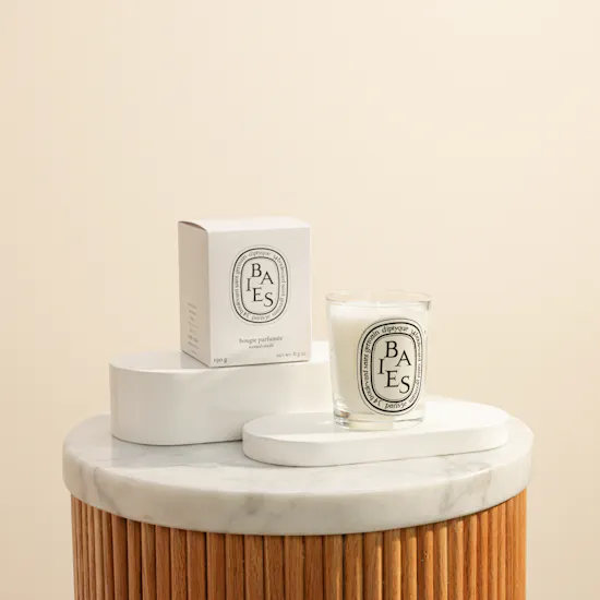 Diptyque Baies / Berries Classic Scented Candle