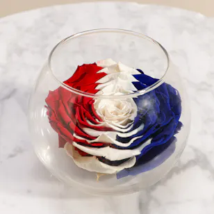 Symbol of Eternal Peace Preserved Rose Vase