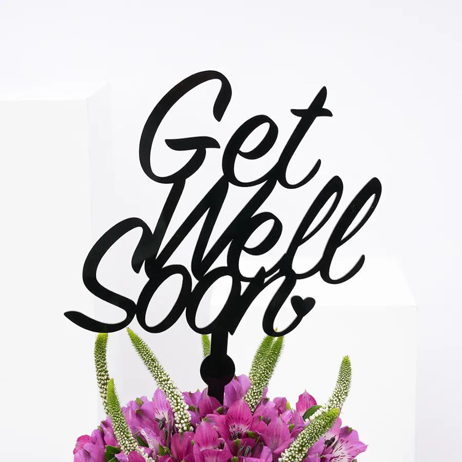 Get well soon | Purple Alstromeria  4