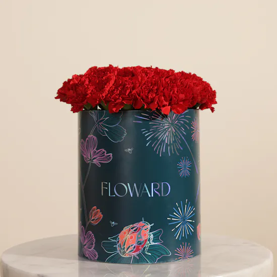 Romantic Red Carnation Box | 35 Flowers