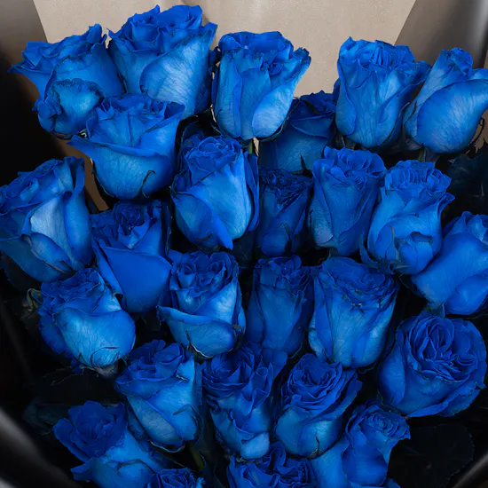 Dark Blue Roses | Flowers Bouquet