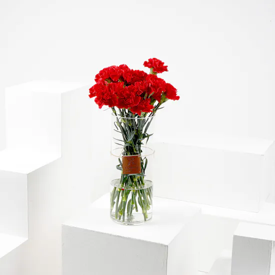 25 Red Carnations | Vase