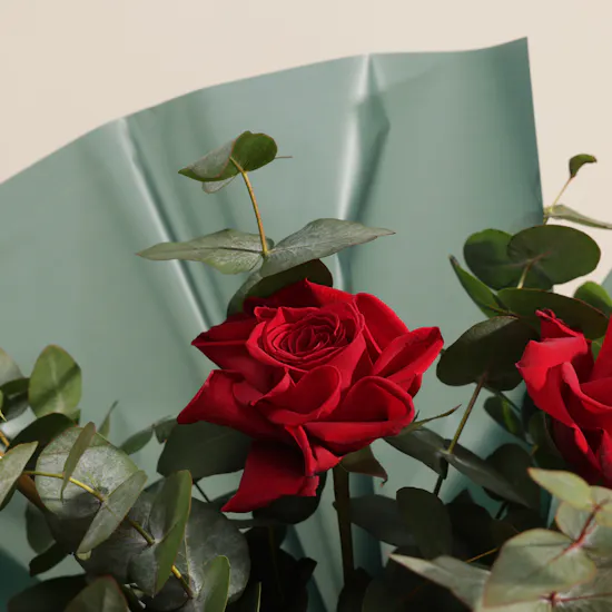 Gentle Embrace Roses Bouquet