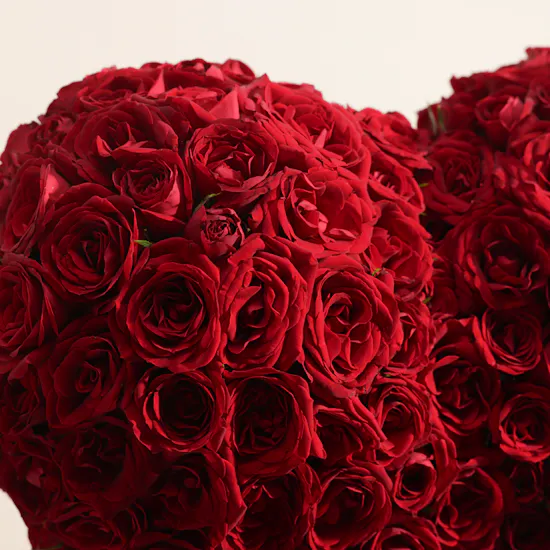 Enchanting Red Baby Rose Heart