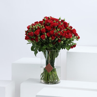 50 Red Baby Roses | Vase
