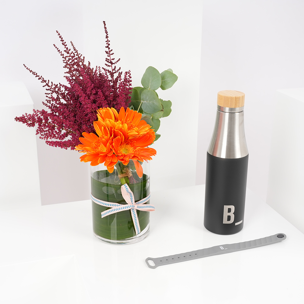 هدية أشتراك عضوية في نادي بي فت | مزهرية الربيع 