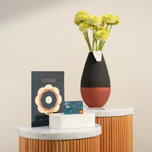 Floward Card 50 USD | Garden Veil Gerbera Vase Floward Card 50 USD | Garden Veil Gerbera Vase