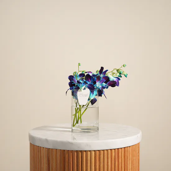 Shiny Baby Orchid Vase | 5 Flowers