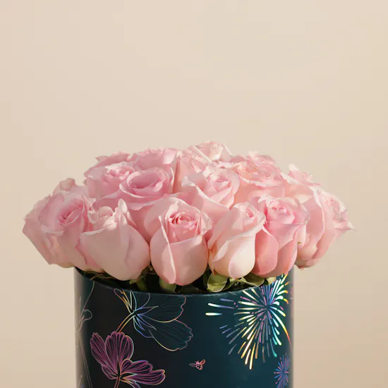 Blush Light Pink Rose Box | 25 Flowers