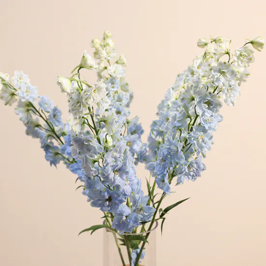 Blue Dreams Delphinium Vase