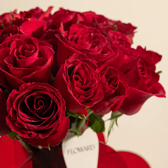 Red Rouge Romance Rose Vase