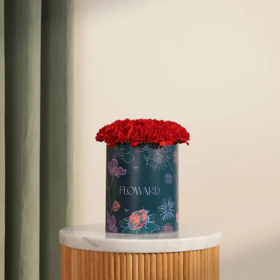 Romantic Red Carnation Box | 35 Flowers