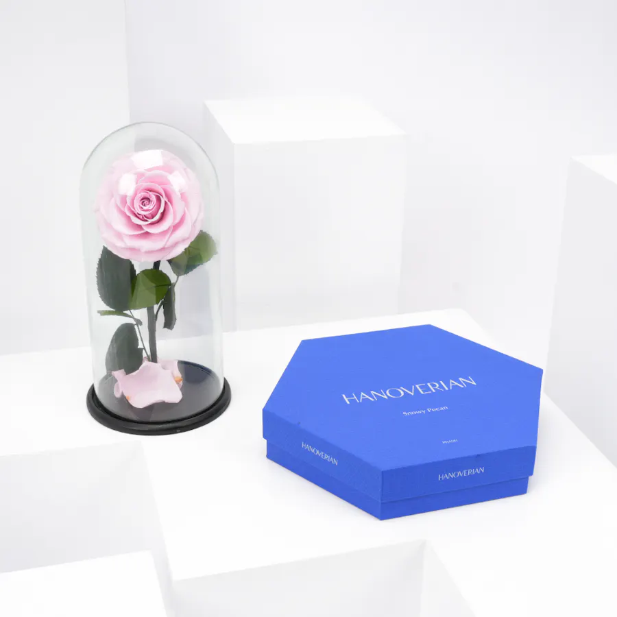 Preserved Pink Rose with Hanoverian Chocolate  4