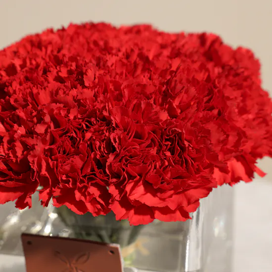 25 Red Carnations | Square Vase